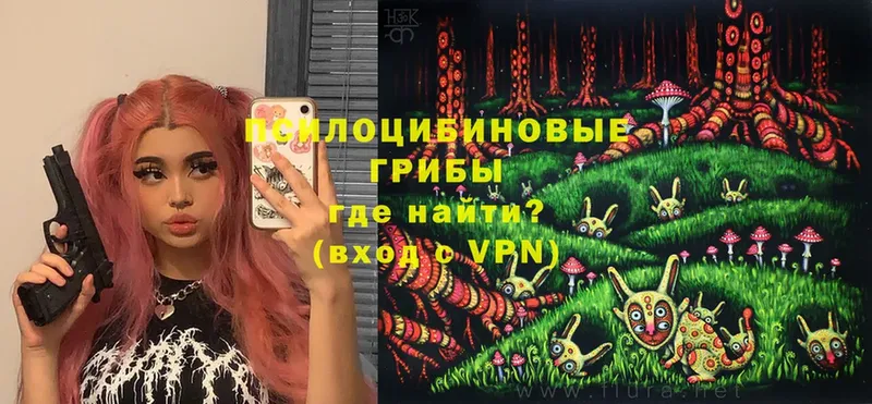 Псилоцибиновые грибы Cubensis Томилино